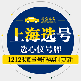 上海新汽车(新汽车)选号预选新能源选号网上自编自选车牌号码数据占用查询