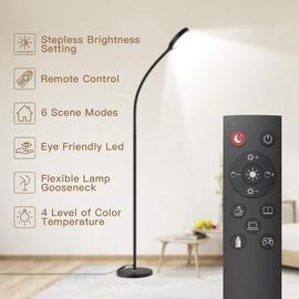 Floor Lamp Remote & Touch Control 2500K-6000K LED Fl