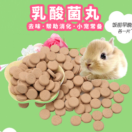 兔子仓鼠荷兰猪小动物保健零食 乳酸菌去味丸5粒