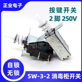 消毒柜配件按键开关SW-3-2自/无锁2脚外弹簧电视电暖气油烟机250V