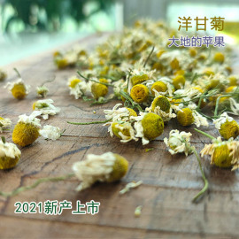 少沫新花魔法医生德国洋甘菊，a+味道清新消除莫名不适品质佳