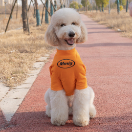 潮牌大型犬衣服夏季薄拉布拉多金毛萨摩耶，巨贵防掉毛宠物大狗衣服