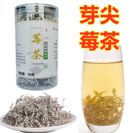 莓茶张家界野生龙须藤(龙须藤)茶永顺嫩芽尖霉茶特产级茅岩河茶霉茶