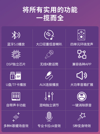 蔻司高档家庭ktv音响，套装全套点歌机唱歌机家用麦克风话筒一体