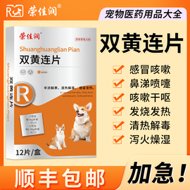 荣佳润双黄连片宠物猫咪，感冒咳嗽狗狗发烧流鼻涕打喷嚏猫狗用药片