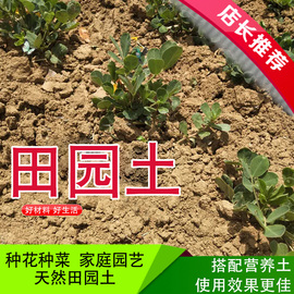 菜园土田园土种菜营养土 种植土壤 土 泥土 通用型养花土大包花土