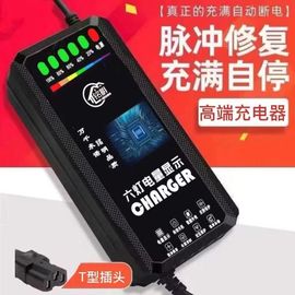 红旗适用智能脉冲断电关机型48V12AH60V20AH72伏电动车铅酸充电器