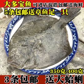 大多宝鱼新鲜多宝鱼野生鲜活海鱼新鲜石斑比目鱼连云港海鲜水产