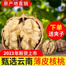 2023新货薄皮纸皮漾濞孕妇核桃，食品云南薄壳，黑桃生新鲜五斤装中果