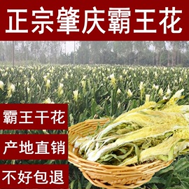 霸王花干货广东肇庆产地又名七星花煲汤材料有半斤多种规格