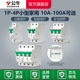 公牛开关插座断路器空气开关家用电闸1P2P/3P/4P63A/100A空开