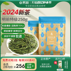 2024年新茶芳羽安吉白茶正宗明前特级嫩芽250g散装茶叶高山绿茶