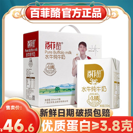 百菲酪纯水牛奶200ml*12盒洛广西补钙蛋，白青少年儿童学生营养纯奶