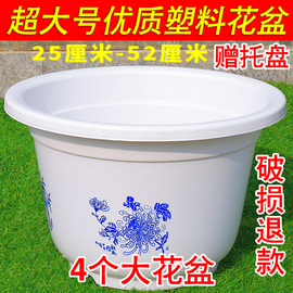 特大号加厚白色圆形，塑料花盆睡莲果树绿植盆栽，花卉有孔无孔