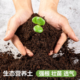 花土营养泥土育苗通用型家用盆栽透气土壤多肉种植土颗粒