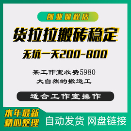 云物流货拉拉搬家搬运快递运货搬东西差价蓝海副业创收小项目