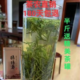 绿杨春2023雨前茶新茶，仪征捺山绿阳春茶叶，扬州特产绿扬春