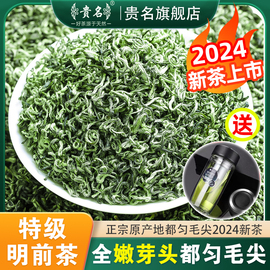 贵州都匀毛尖茶2024年新茶特级绿茶，明前春茶手工茶叶礼盒装250g