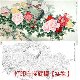 工笔画打印白描底稿横幅，花鸟四尺六尺初学者，临摹勾线过稿练习上色