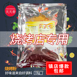 天天香烧烤粉1kg秘制烧烤调料撒料油炸串羊肉串烤肉串增香粉商用