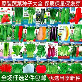 蔬菜种子四季播种阳台盆栽庭院香菜，菠菜葱白菜，萝卜蔬菜籽种孑大全