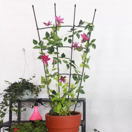 爬藤架架子室内花架铁线莲月季花植物园艺支架扇形花盆攀爬爬杆