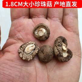 香菇干货新货农家小香菇，珍珠菇蘑菇，1.8cm金钱菇菇丁500g五斤