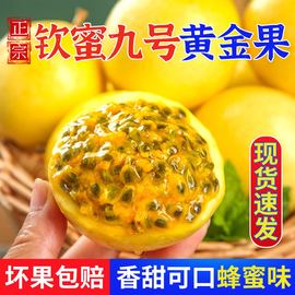 钦蜜9号黄金百香果很甜蜂蜜味当季新鲜水果钦蜜九号甜百香果