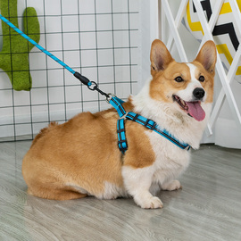 狗狗牵引绳狗绳柯基犬中小型犬狗链子遛狗泰迪柴犬雪纳瑞宠物用品