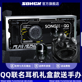 songx蓝牙耳机2024入耳式高音质(高音质)适用华为苹果oppo索尼vivo