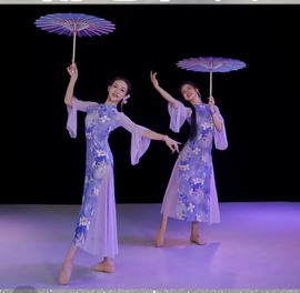 雨巷佳人舞蹈服装人间烟火演出服，高弹力(高弹力，)舞蹈旗袍裙夏辉同款紫色