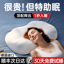 德国进口助睡眠枕头护颈椎记忆棉按摩专用侧睡慢回弹枕芯家用