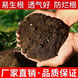 营养土家用养花种菜专用土多肉盆栽通用型种植土园艺土壤花土肥料