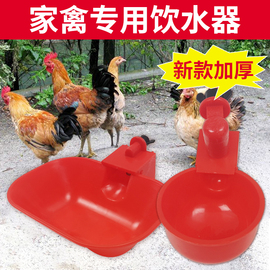 小鸡喝水饮水器喂鸡养鸭鹅鸽子用饮水碗自动喂水鹌鹑家禽养殖神器