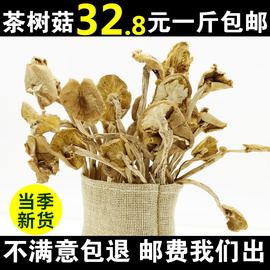 32.8一斤新鲜农家茶树菇干货，开伞茶薪菇非特级香菇蘑菇500g商用