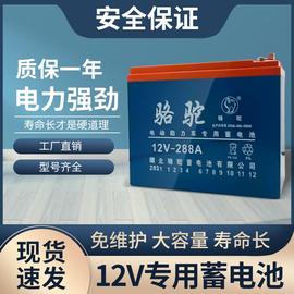 12v骆驼电瓶免维护干电池夜市，36ah60ah蓄电池摆摊音响12v铅酸电池