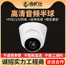 睿威仕半球网络数字摄像头音频广角夜视高清300万红外全彩监控器