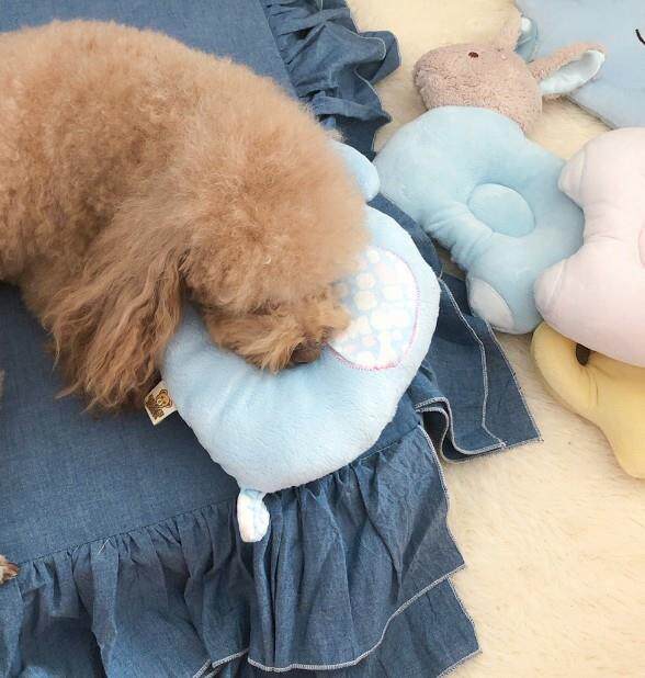 pet pillow Dogs Dedicated Sleep pillow Molar Cat Toys pillow Supplies lovelyin the Pet/Pet food and supplies , Cat/Dog Toys , Sound toys  category - from Buy2taobao.com to provide professional Taobao agent buy service