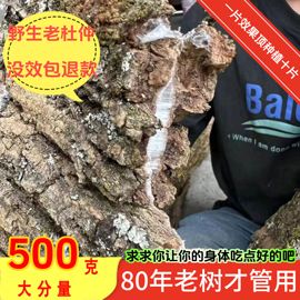 80年杜仲野生中药材，500g杜肿皮树皮粉茶巴戟天泡酒，特级去粗皮