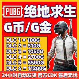 PUBGG币CDK兑换码绝地求生金币吃鸡G游戏币皮肤点卷充值激活