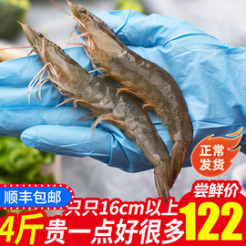 虾鲜活大虾海虾超大基围虾冷冻海鲜水产鲜活冻虾新鲜青岛大虾4斤