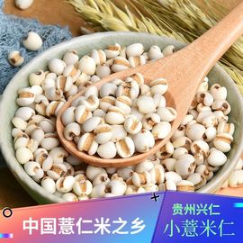 贵州特产 正宗贵州小薏米兴仁薏仁米2021新鲜苡仁米五谷杂粮粗粮