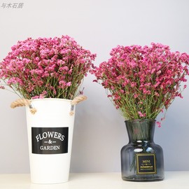 云南干花真花风干天然满天星轻奢干花花束带，花瓶客厅客厅装饰摆设