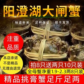 正宗阳澄湖镇大闸蟹鲜活螃蟹全母2.0两新鲜水产特大10只礼盒装顺