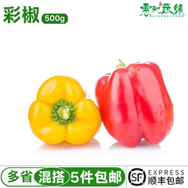 新鲜蔬菜红黄彩椒甜圆椒灯笼椒500g绿色清洗生吃蔬菜沙拉食材