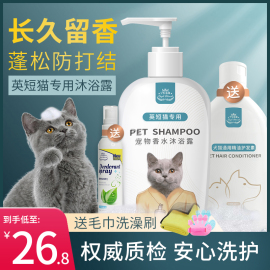 英短银渐层蓝猫专用猫咪，沐浴露杀菌除螨，洗澡用品大全宠物沐浴液