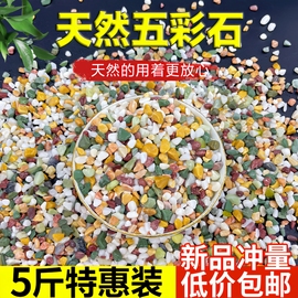 天然彩石鱼缸造景底砂多肉盆栽铺面石子鹅卵石，种花装饰五彩小石头