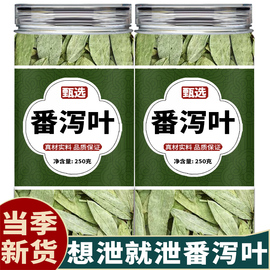 番泻叶中药饮片番茄泻叶潘泻叶蕃泄排宿便茶包通便