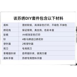 苏绣刺绣diy初学套件 工笔花鸟图 手工刺绣自学装饰画材料包