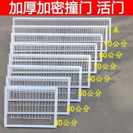 鸽子用品用具鸽子活络门撞门信鸽赛鸽用品加厚加密回笼门鸽具碰门